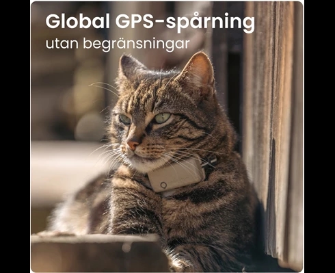 Tractive Tractive GPS CAT Mini - Brown