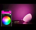 Philips COL HUE Go V2