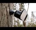 Arlo Floodlight Black