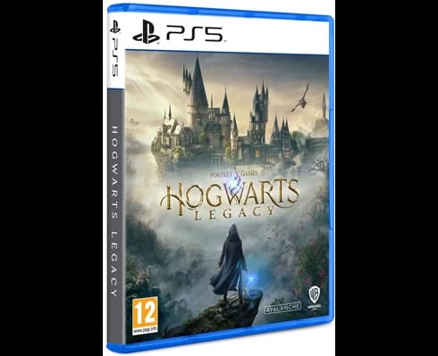 PS5 Hogwarts Legacy