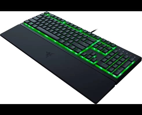 Razer RAZER ORNATA V3 X