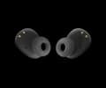 JBL Wave Buds - Black