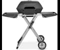 Austin and Barbeque AABQ - Superior Portable 2 Burner Gas Grill