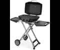 Austin and Barbeque AABQ - Superior Portable 2 Burner Gas Grill