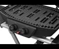 Austin and Barbeque AABQ - Superior Portable 2 Burner Gas Grill