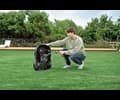 Dreame Robotic Mower A2