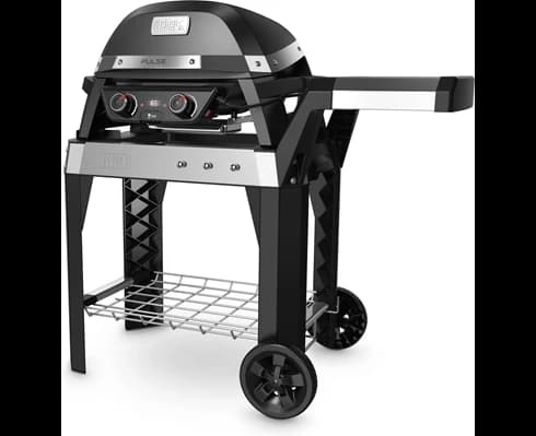 Weber PULSE 2000 with stand