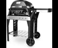 Weber PULSE 2000 with stand