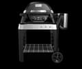 Weber PULSE 2000 with stand