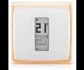 netatmo Thermostat by Stark with Home Kit V.2