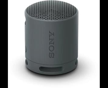 Sony SRSXB100 - Black