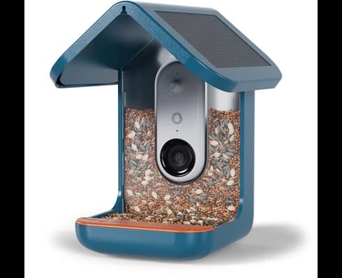 Birdbuddy Smart bird feeder w/ solar roof - Blue