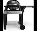 Weber PULSE 2000 with stand